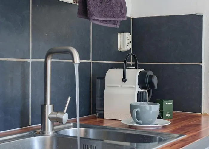 Apartment Le Leo - Terrasse, Parking, Piscine, Netflix *
